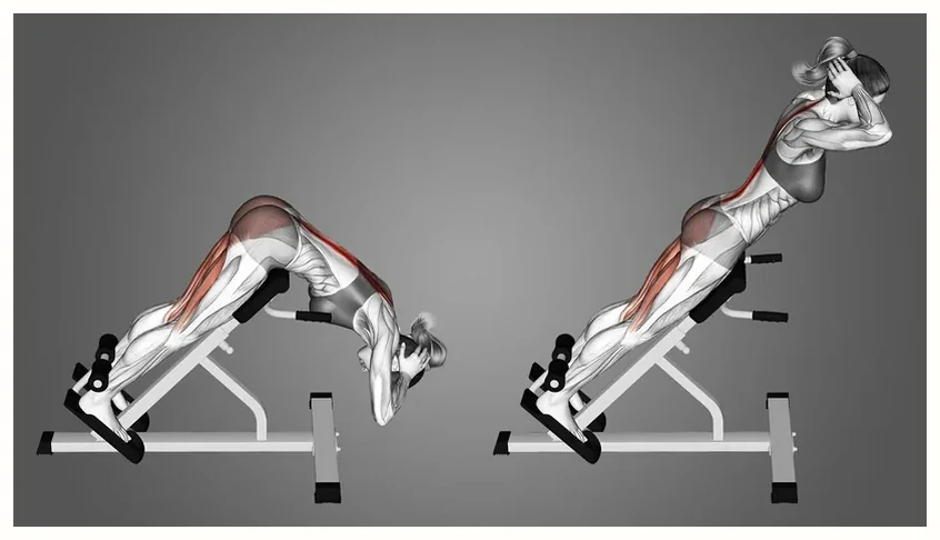 Back extension station