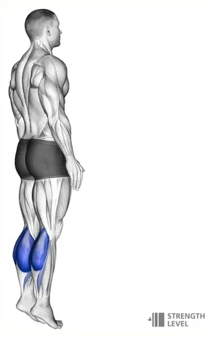 Calf raise on a platform