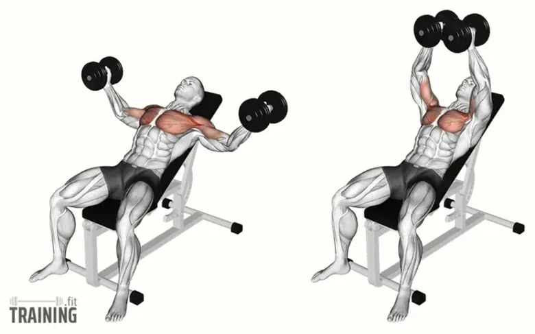 Incline dumbbell fly movement