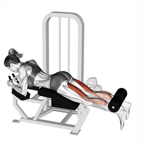 Leg curl machine