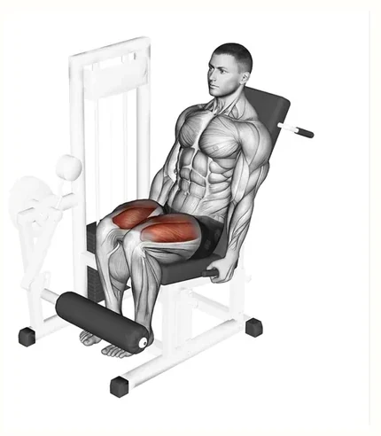 Leg extension machine