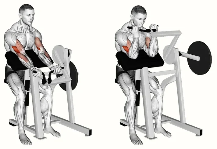 Preacher curl machine