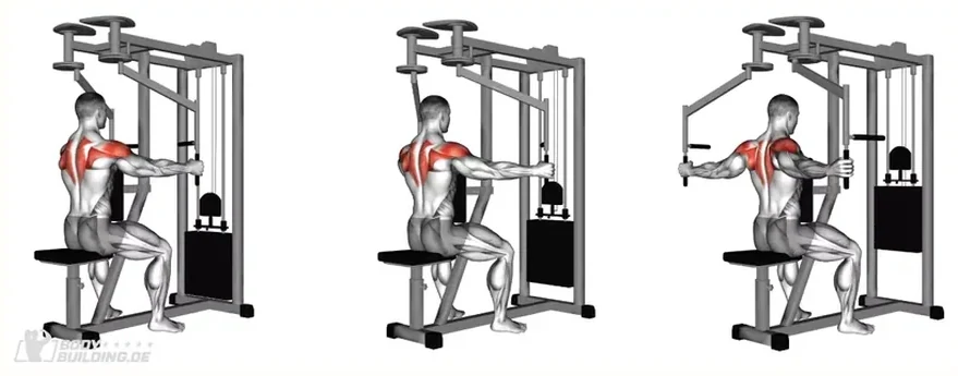 Reverse butterfly machine